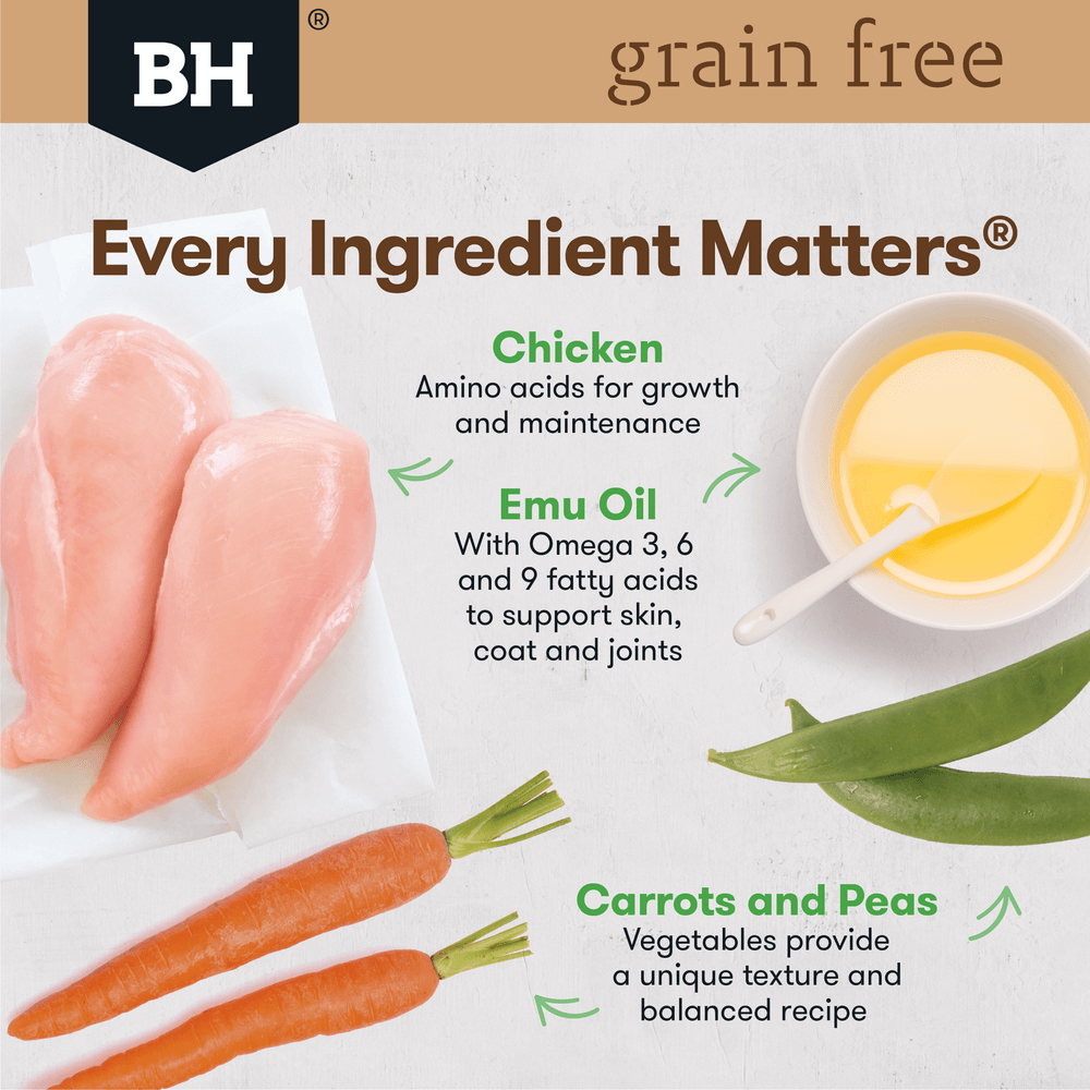BLACK HAWK GRAIN FREE CHICKEN 100G (9PK)